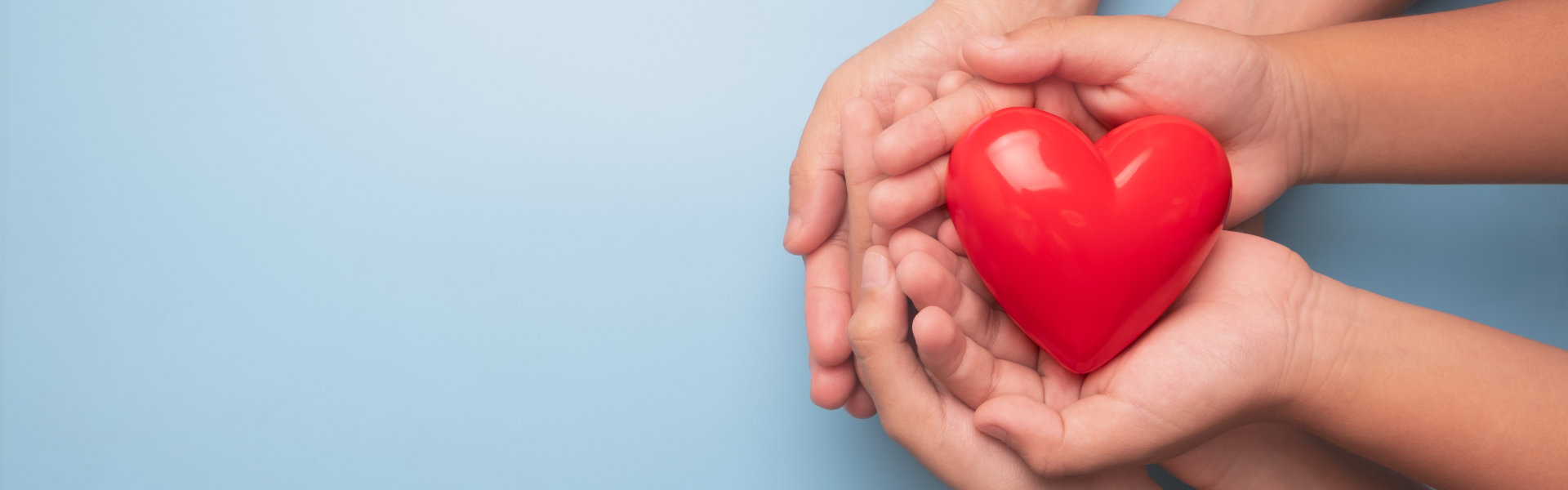heart in hands